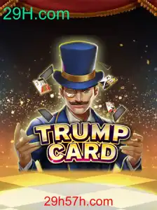 Descubra o Fascinante Mundo de TrumpCard e a Inovação de 29H.com